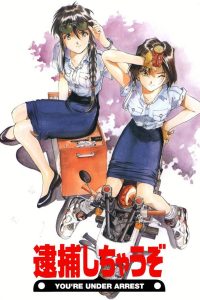 Вы арестованы (1996)