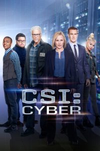 CSI: Киберпространство (2015)