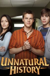 Невероятная история (2010)